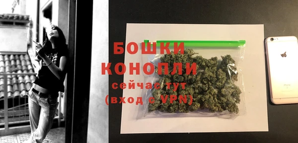 метадон Гусев