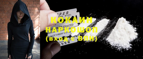 хмурый Гусь-Хрустальный