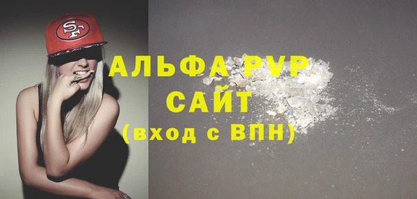 хмурый Гусь-Хрустальный
