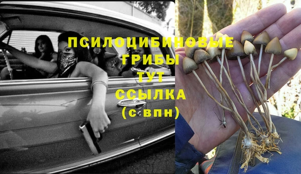 марихуана Гусиноозёрск