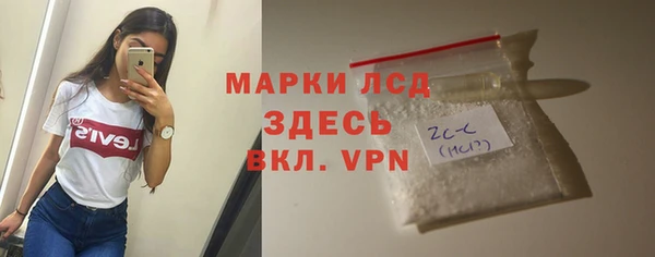 хмурый Гусь-Хрустальный