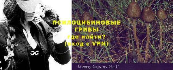 хмурый Гусь-Хрустальный