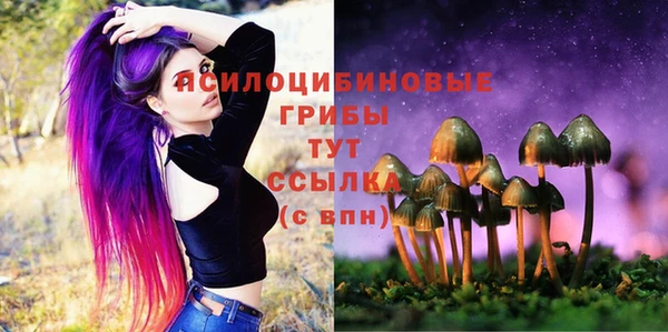 метадон Гусев