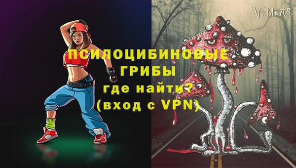 хмурый Гусь-Хрустальный