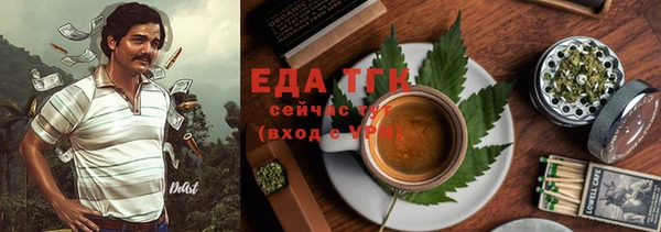 хмурый Гусь-Хрустальный