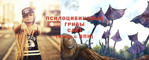 бошки Дмитриев
